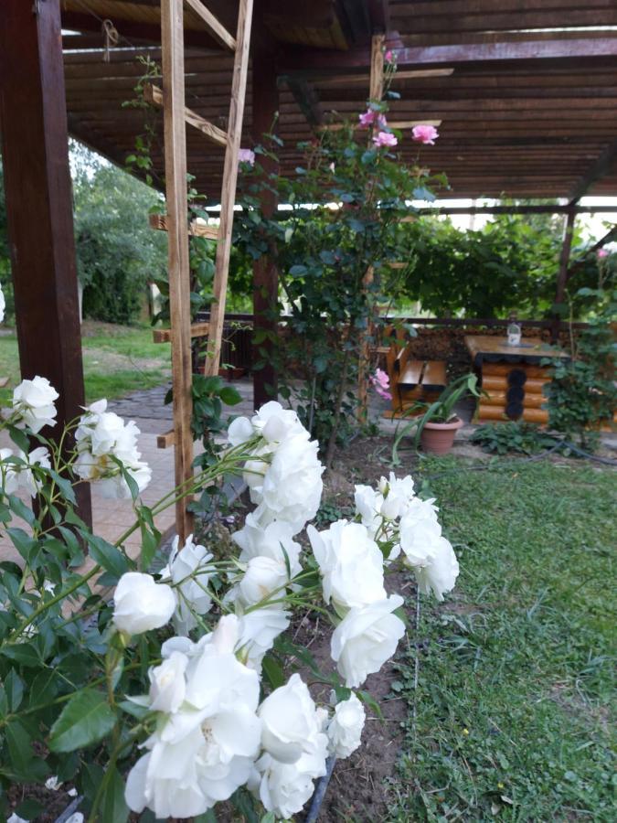 Bed and Breakfast Kolpinghaus Caransebeş Esterno foto
