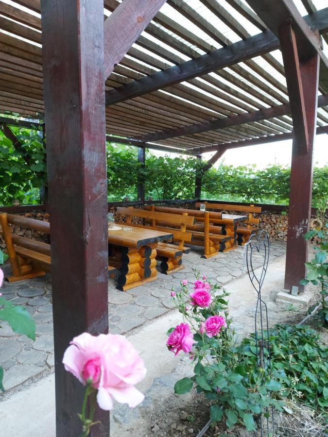 Bed and Breakfast Kolpinghaus Caransebeş Esterno foto