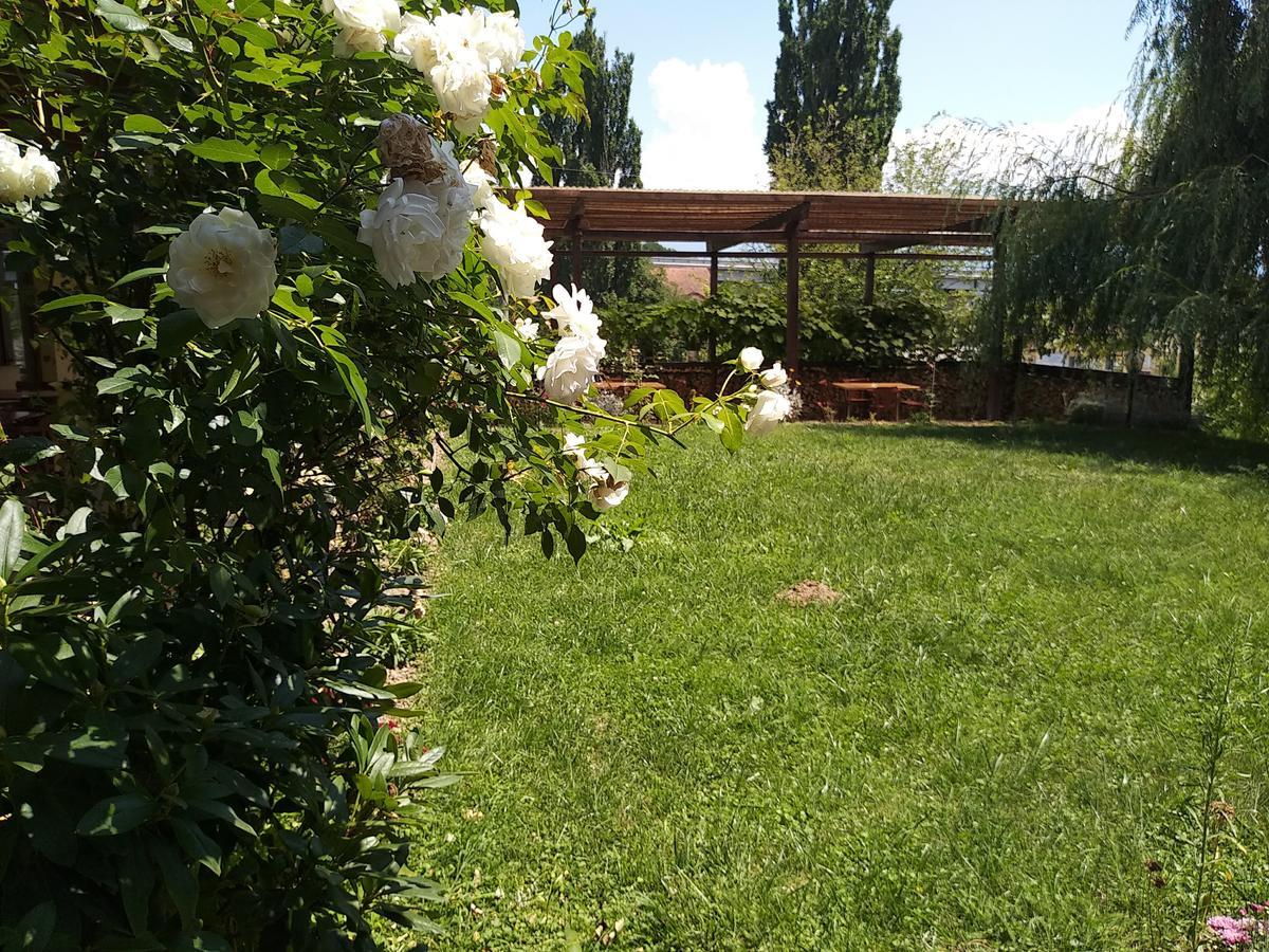 Bed and Breakfast Kolpinghaus Caransebeş Esterno foto